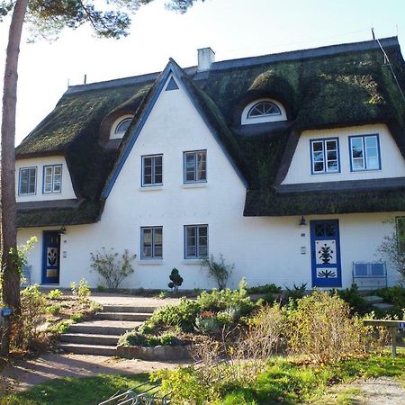 Fewo Sonnenblume Achtern Diek Zingst Exterior photo