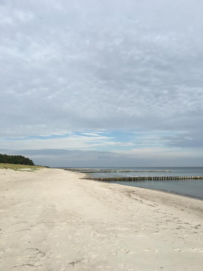 Fewo Sonnenblume Achtern Diek Zingst Exterior photo